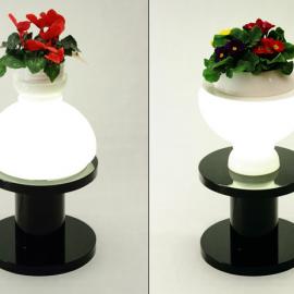 个性化生活设计，让你的生活多姿多彩！