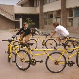 一起来运动吧！循环自行车―Robert Wechsler