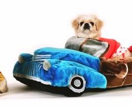 萌死了！看狗狗的香车豪宅