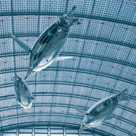 德国Festo工程师设计:人工企鹅