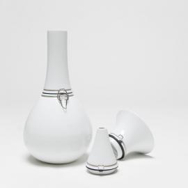 Vij5设计的FlexVaas