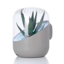 Mathieu Lehanneur and David Edwards设计的高科技花盆