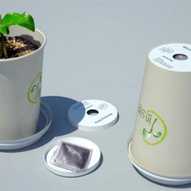 Y in Cup：可种植物的咖啡杯
