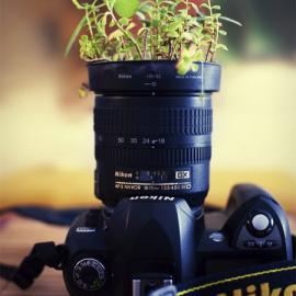 15个花盆的创意设计