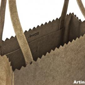 Regenesi 购物袋设计