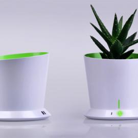 该给你的花浇水了