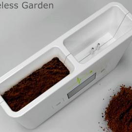 真正意义的“生物钟”