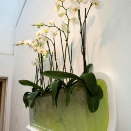 提高室内空气质量的设计：Breathe Easy