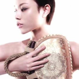 时尚中国风 奢品包包系列