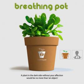 会“呼吸”的花盆