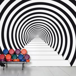 The new domestic landscapes