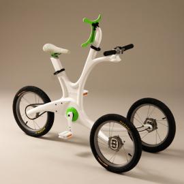 Trike for Disabled Tikes