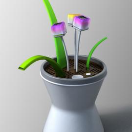 花卉保姆Flower Nurse