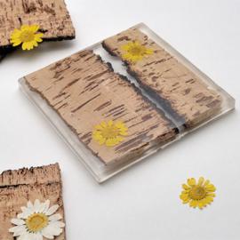 多姿多彩的标本瓷砖 带给你大自然的气息