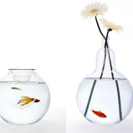 Roger Arquer 鱼缸设计