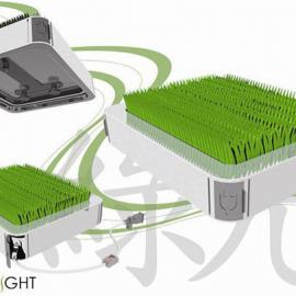 weiting chen 概念设计