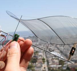 全球最轻的遥控飞机