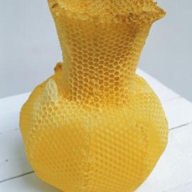 07米兰家具展：Studio Libertiny蜜蜂建造的花瓶