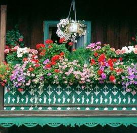 民族文化与设计的结合－奥地利窗台艺术