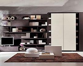 最具创意的多功能床(图)