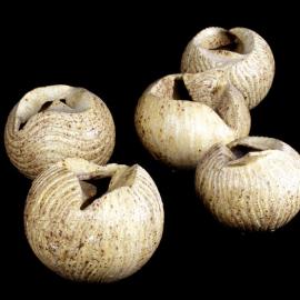 中国首届陶艺新秀作品双年展欣赏[一]