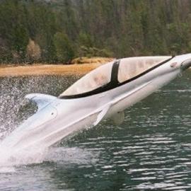 匪夷所思：像海豚一般愉悦