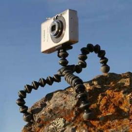 摄影人的选择-可爱的勾乐拍