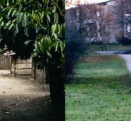 瑞典当代艺术展作品赏