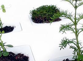 桌面镶入式的花盆TOPO