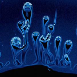 视觉赏析－科学的艺术[一]