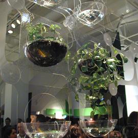 能净化空气的花盆玻璃墙设计
