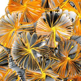 Mareike Gast 设计的简易花椅