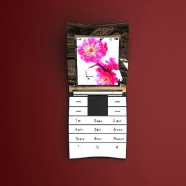 Renovatio Mobile 手机设计