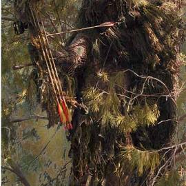 军事伪装迷彩服欣赏