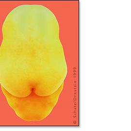 人体变形艺术欣赏