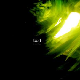 创作类平面作品:《Green Conception》生命的主题