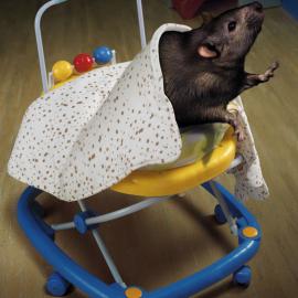 “我们需要清洁”城市创意广告设计欣赏