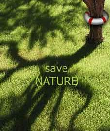 NINA DESIGN平面设计作品