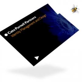 Cato部分品牌视觉作品欣赏