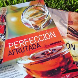 Medusateam 平面设计