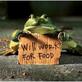 完美广告创意欣赏(图)