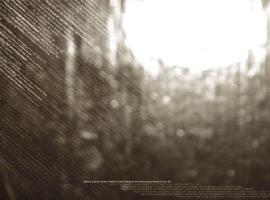 Somer Harvey 平面设计