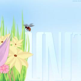 Refugitiveee 平面设计