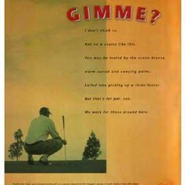 Jennifer Peterson 平面设计