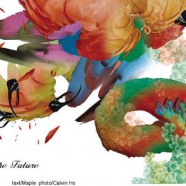 Calvin Ho:制造时尚未来式