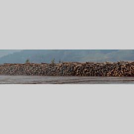 无法忍受的美―美国大型消费品艺术欣赏