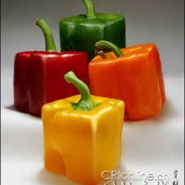 [创意]假如圆的都变成方的(组图)