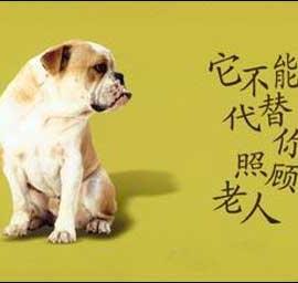 震撼的公益广告