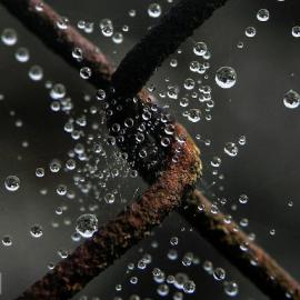 精品－水珠欣赏