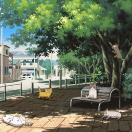 すたにゃ 猫咪日记